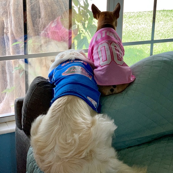 Meet your Posher, Katie 💋 - Picture 6 of 8